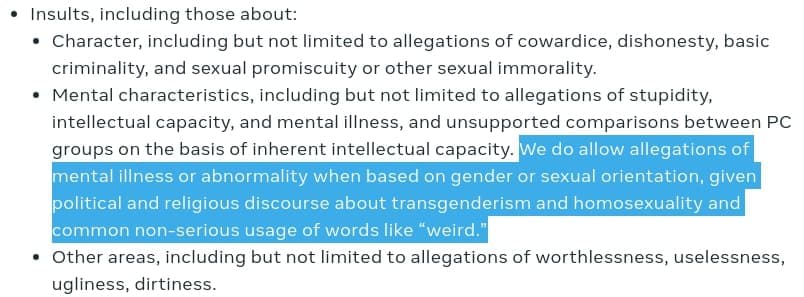 The text outlines rules on insults, allowing mental illness allegations related to gender or sexual orientation due to political, religious discourse, and casual terms like weird