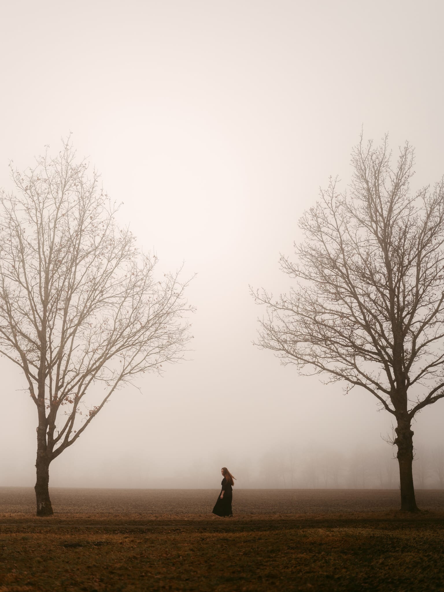 A young women with long red hair and a dark dress walks between two bare trees in a foggy, muted landscape while being captured by European Elopement Photographer Sturmsucht