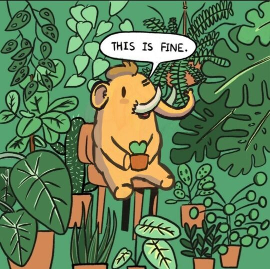 This is a cartoon illustration featuring a cute, light-orange woolly mammoth sitting on a small wooden stool. The mammoth is holding a small potted plant with heart-shaped leaves in its hands. Above the mammoth's head, a speech bubble contains the text, "THIS IS FINE." The entire background is densely packed with various lush, green houseplants in pots, creating a jungle-like atmosphere. The art style is simple, clean, and cheerful.