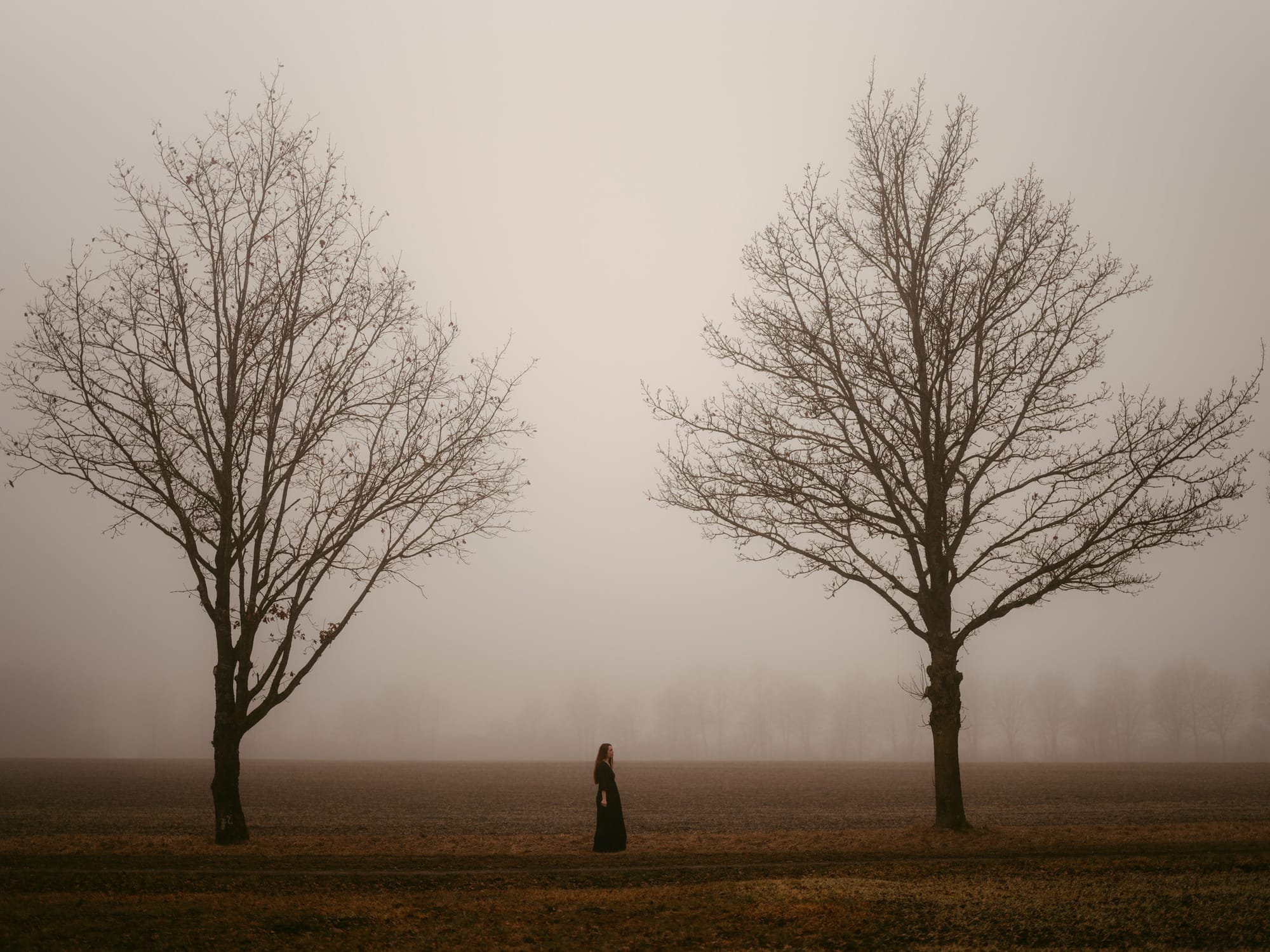 A young woman with red hair in a black dress stands between two bare trees in a foggy, muted landscape, captured by European Elopement Photographer Sturmsucht